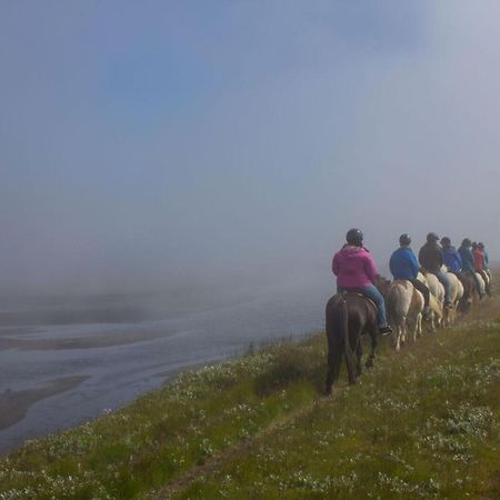 איילססטאד'יר Husey Hostel & Horsefarm מראה חיצוני תמונה