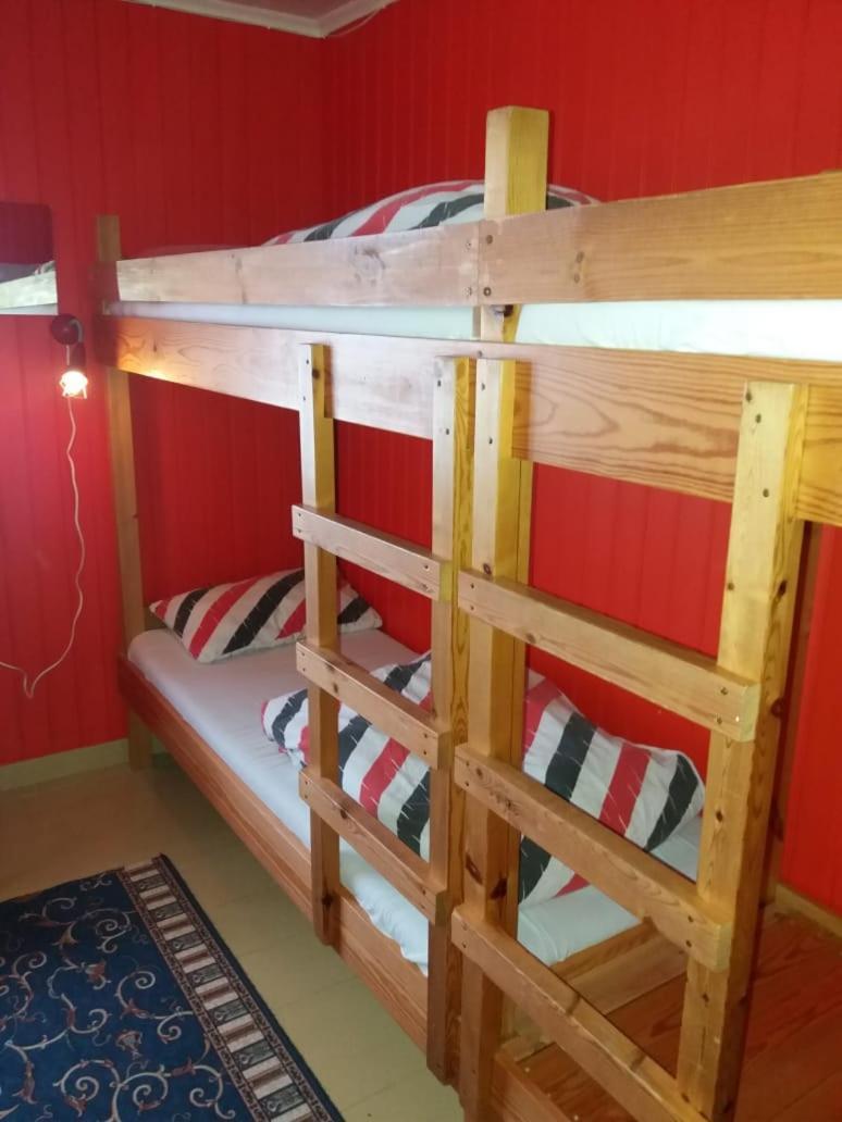 איילססטאד'יר Husey Hostel & Horsefarm חדר תמונה