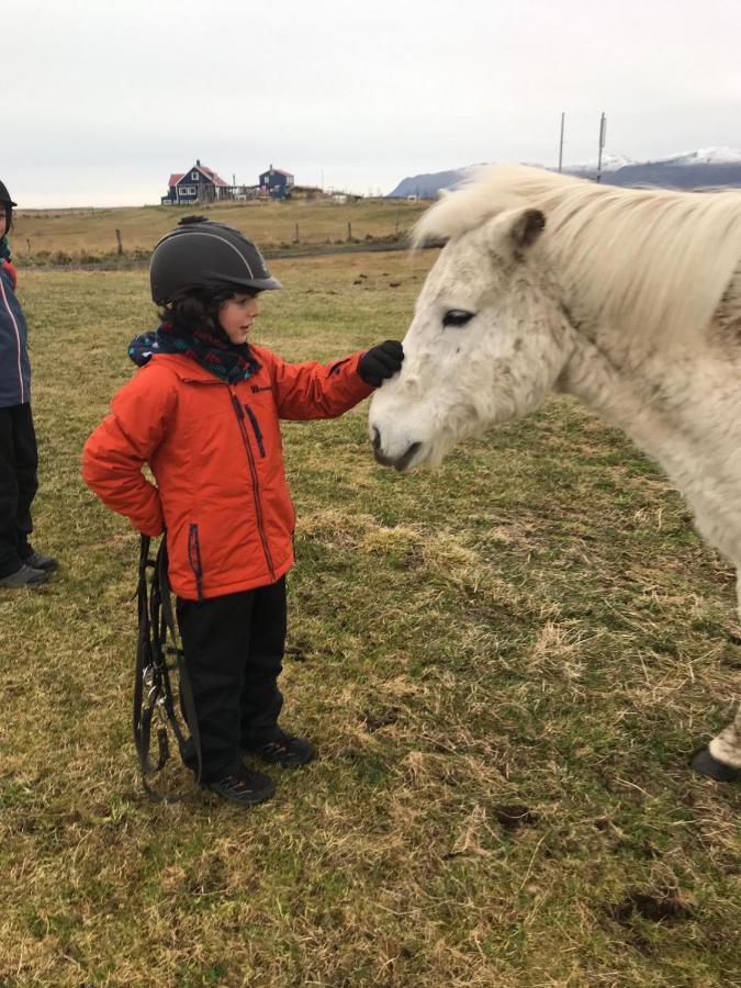 איילססטאד'יר Husey Hostel & Horsefarm מראה חיצוני תמונה