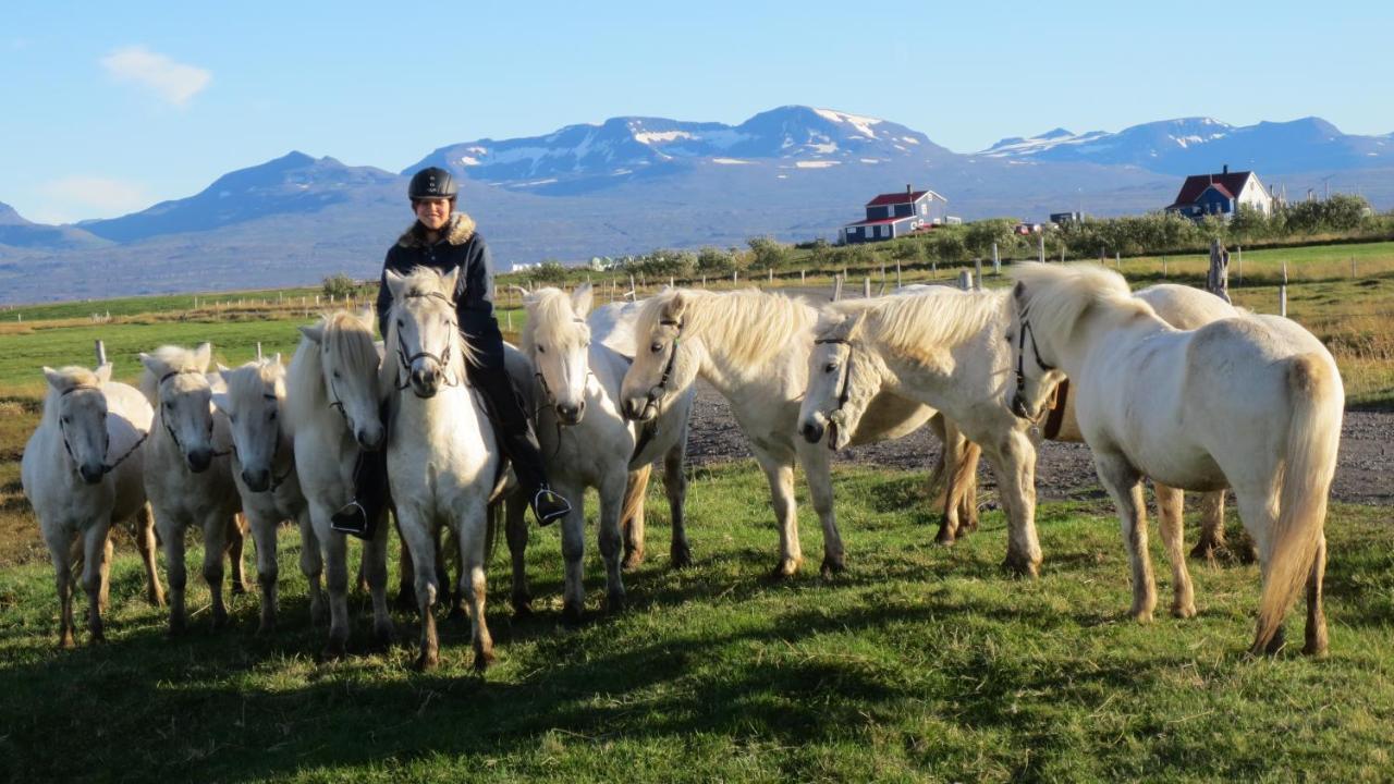 איילססטאד'יר Husey Hostel & Horsefarm מראה חיצוני תמונה